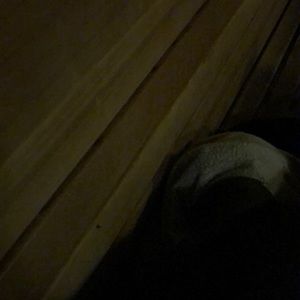 Meet your Posher, Griselle